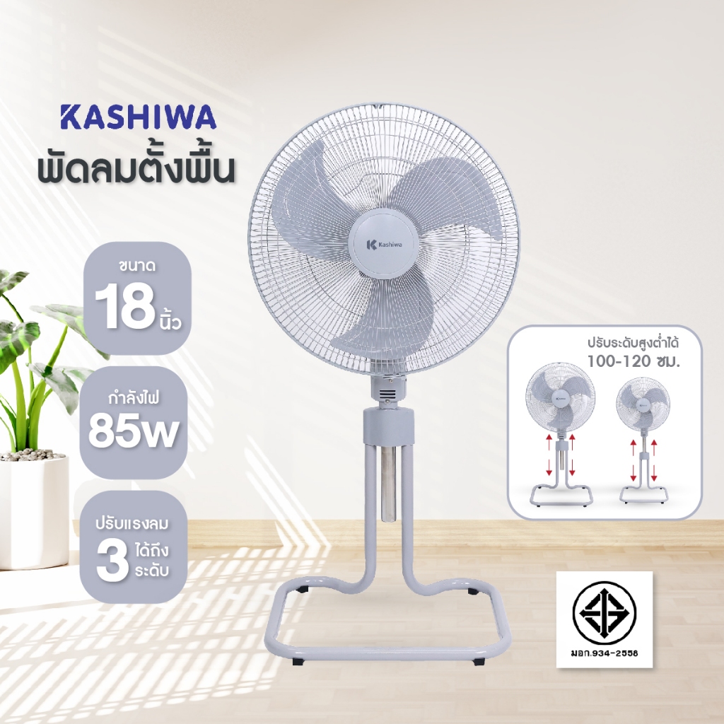 Kashiwa Floor Fan มุมด้านหน้า ใบพัดและกระจังกัน