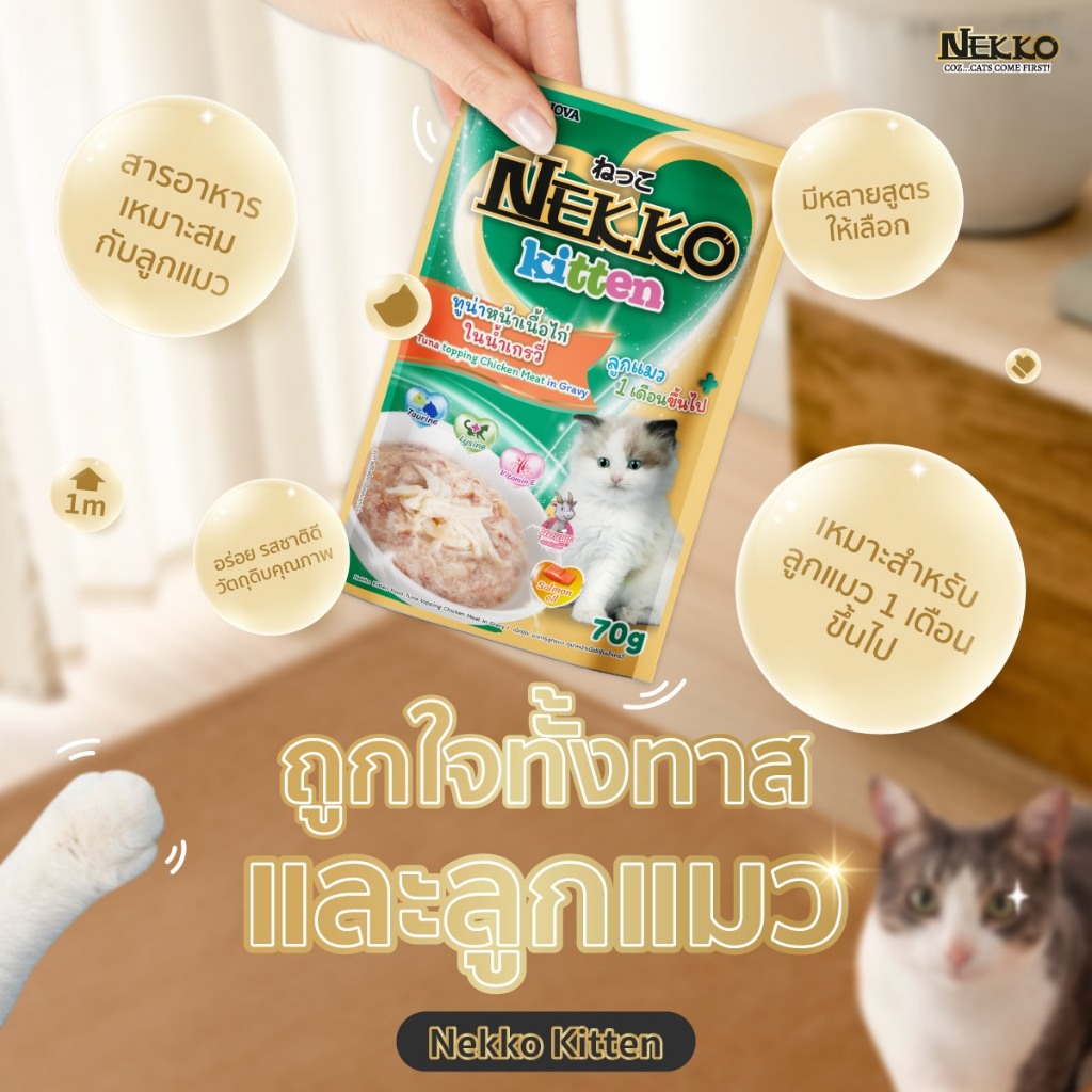 Nekko cat food Omega3 closeup texture ingredient