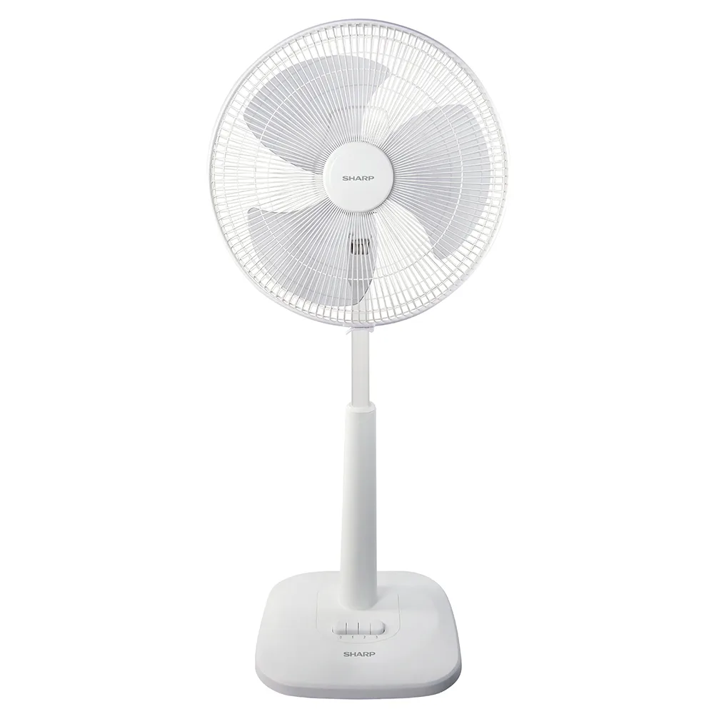 SHARP-SL-165-SNOW